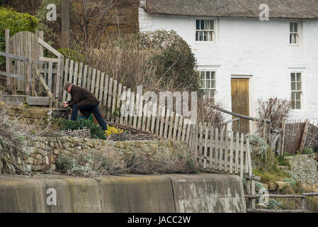 Man gardening in tiny terraced vegetable garden above harbour wall in coastal village, whitewashed thatched cottage beyond - Runswick Bay, England, UK Stock Photo