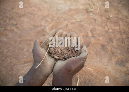 Hands hold dry, parched soil in drought-stricken northern Ghana, West Africa. Stock Photo