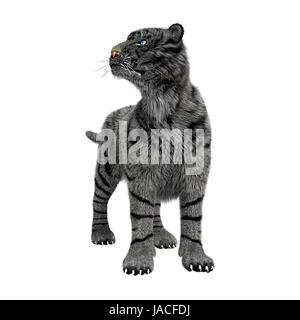 3D digital render of a white tiger with blue eyes isolated on white background Stock Photo