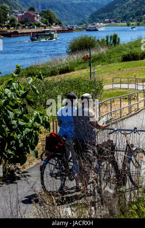 Cyclists on a bike trail Elbe Valley river, Saxon Switzerland region, Bad Schandau, Saxony, Germany cycling, Elbe river bike Stock Photo