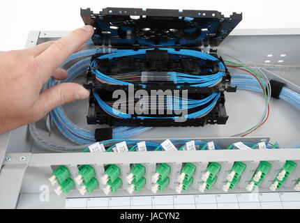 stack of fiber optic splice cassettes with protection sleeve and blue fibres installed in optical distribution frame Stock Photo
