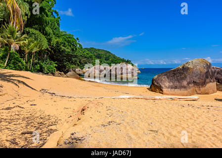 Deserted and unspoilt beach with its limpid and transparent waters that meet the rainforest Stock Photo