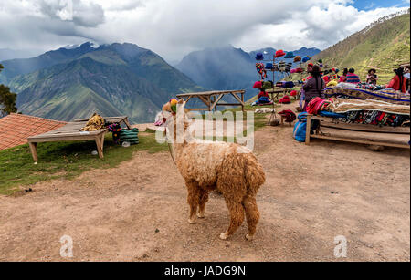 Street vendors in Cusco, Peru Stock Photo