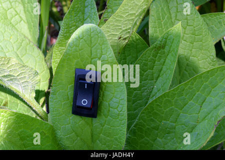 Leaf with inserted power switch turned to position on. Unique conservation and green business concept. Stock Photo
