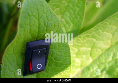 Leaf with inserted power switch turned to position on. Unique conservation and green business concept. Stock Photo