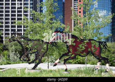 Galloping horses in Calgary “Do Re Mi Fa Sol La Si Do” by sculptor Joe Fafard for Quebec City's 400th anniversary. Calgary and Quebec are sister cities. Stock Photo