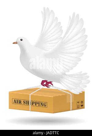 white pigeon flying with air shipping delivery Stock Vector