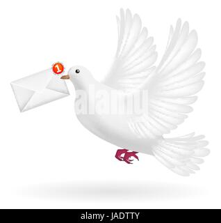 white pigeon flying with envelope mail message Stock Vector
