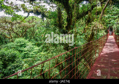 Wide angle view of red hanging bridge in the Rainforest of Monteverde at the right side of the image Stock Photo