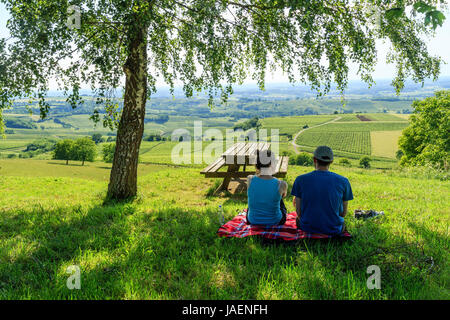 France, Jura, Pupillin, view of the  Pupillin vineyard and picnicking tourists Stock Photo