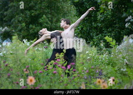 Chatsworth, Derbyshire, UK. 6th June, 2017. 6th June 2017. Chatsworth Royal Horticultural Society Flower Show. Picture shows dancers from the London Contempoary Ballet Theatre giving life and movement on the Brewin Dolphin Show Garden at the Chatsworth RHS Floer Show at Chatsworth House in Derbyshire. Credit: Howard Walker/Alamy Live News Stock Photo