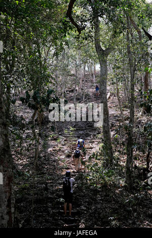 Hikers climbing an ancient triadic pyramid of the Preclassic Maya civilization nicknamed 'El Tigre' at El Mirador a large pre-Columbian Maya settlement, located in a remote site deep in the jungle in the north of the modern department of El Peten, Guatemala Stock Photo