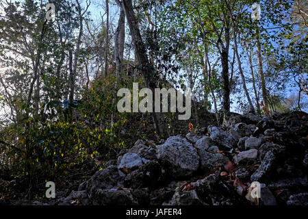 View of El Dante the largest triadic pyramid structure ever build in ...