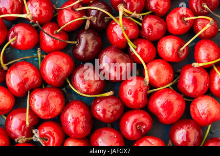 Ripe glossy sweet cherries with water drops scattered on dark blue background, seamless pattern, template, vibrant colors, top view, close up Stock Photo