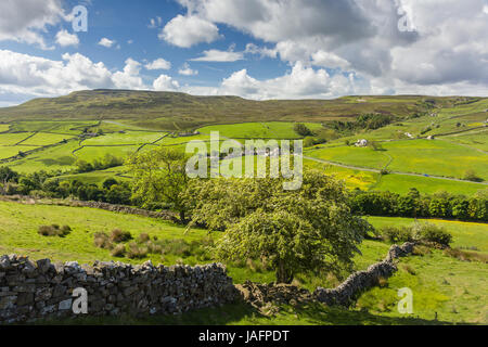 Arkengarthdale in The Yorkshire Dales and the small remote farming hamlet of Arkle Town near Langthwaite, North Yorkshire UK Stock Photo