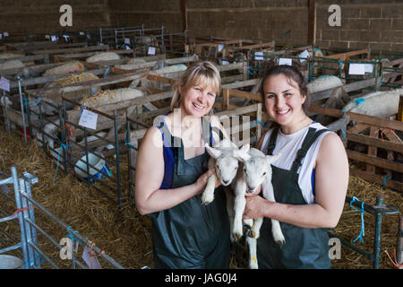 Two smiling women standing in a stable, holding newborn lambs. Stock Photo