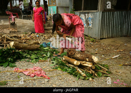 Woman preparing load of firewood to carry home, west of Phuentsholing, West Bengal. India Stock Photo