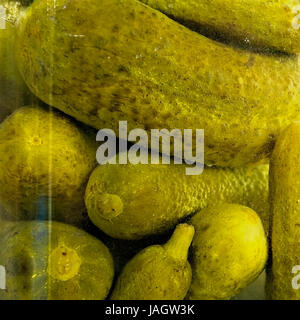 Eingelegte kleine Gurken im Glas; pickled little cucumbers in a jar Stock Photo