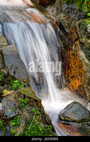 Small stream running through the rocks and vegetation of the rainforest Stock Photo