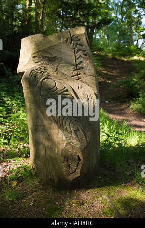 UK, England, Shropshire, The Wrekin, Ercall Wood, chainsaw carving, sculpted tree trunk Stock Photo