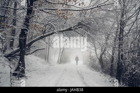 fantasy woods in winter, man walking on snowy forest road Stock Photo