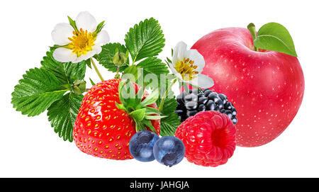 strawberry,apple,raspberry,blackberry, bilberry, blueberries isolated on white background Stock Photo