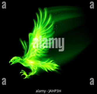 Illustration of green fire hawk on black background. Stock Photo