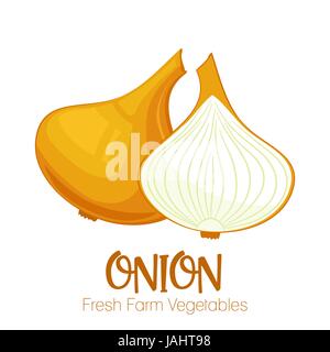 Vector onion isolated on white background.Vegetable illustration for farm market menu. Healthy food design poster. Cartoon style vector illustration Stock Vector