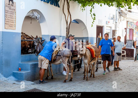 Local Men Wait With Donkeys At The Entrance Of Lindos Town To Transport Tourists Up To The Acropolis, Lindos, Rhodes, Greece Stock Photo