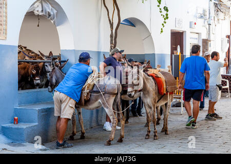 Local Men Wait With Donkeys At The Entrance Of Lindos Town To Transport Tourists Up To The Acropolis, Lindos, Rhodes, Greece Stock Photo