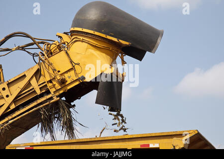 Belize,orange Drumming District,sugarcane,harvest,harvester, Stock Photo