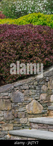 an assortment of plants and a stone wall Stock Photo