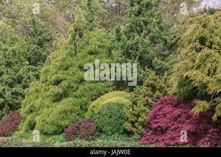 an very beautiful assorment of plants consisting of bushes and trees in a garden in the Hamptons Stock Photo