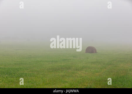 foggy field with bales of hay Stock Photo