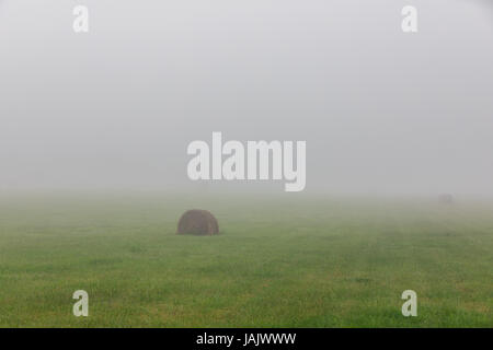 foggy field with bales of hay Stock Photo