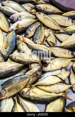 Fresh fish in a market Stock Photo