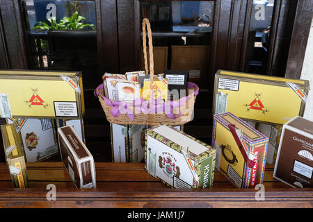 Cuban authentic cigars and mini cigars displayed for sale at the Casa del Tabaco Caribe in Varadero, Cuba. Stock Photo