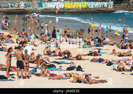 A crowded Bondi beach on a summer's day. Sydney, NSW. Australia. Stock Photo