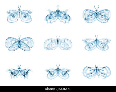 Fractal Butterflies series. Interplay of isolated fractal butterflies on the subject of science, creativity and design Stock Photo