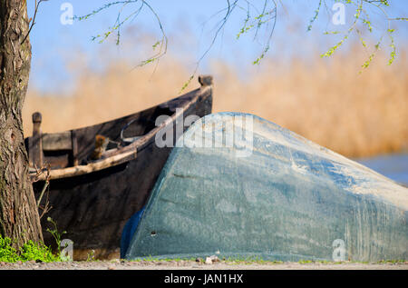 An old wooden boat turned upside down on the green grass Stock Photo