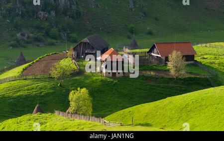 Rural landscape with house in summer sunrise light somewhere in Transylvania Romania Stock Photo
