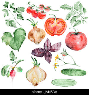 Watercolor vegetables set Stock Photo