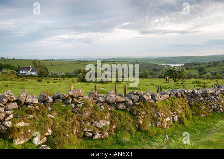 A farm on Bodmin Moor in Cornwall with Siblyback Lake in the far distance Stock Photo