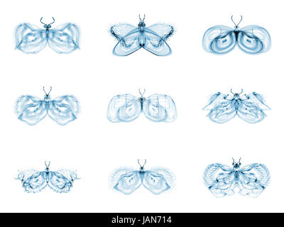 Fractal Butterflies series. Interplay of isolated fractal butterflies on the subject of science, creativity and design Stock Photo