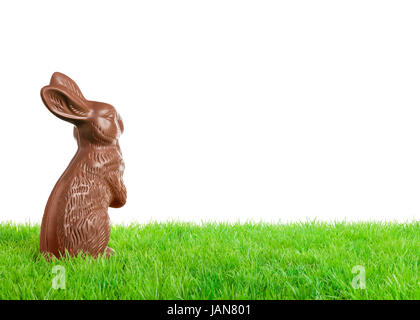 Chocolate easter bunny on a meadow. Isolated on white. Stock Photo