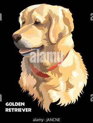 Colorful  isolated vector portrait  of dog Golden retriever on black background Stock Vector