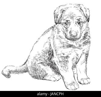 Puppy of german shepherd vector hand drawing Illustration isolated in black color on white background Stock Vector