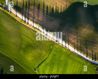 Aerial top view of a green field. Summer season. Stock Photo