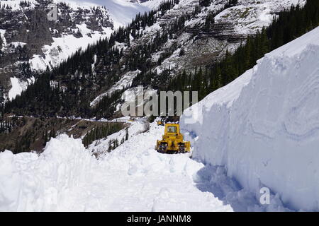 Snow plows begin the process of clearing roads along the slopes above Triple Arches in preparations being in Glacier National Park to begin opening for the season May 26, 2017 in West Glacier, Montana. Stock Photo