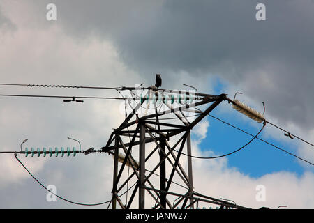 A plastic Owl mounted high up on a National Grid high tension pylon in a rural setting. Stock Photo